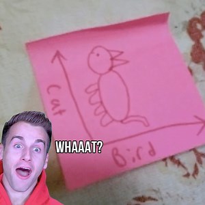 Amazing Optical Illusions 😱 | Reaction Time