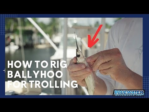 How to Rig a Ballyhoo Fast & Easy for Trolling