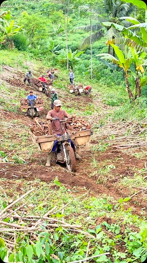Sepeda motor modifikasi pengangkut singkong #singkong #reels #viral | Moeniv Moeniv