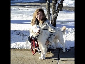 THANKSGIVING DAY Song By Susan Buchanan LittlePoet