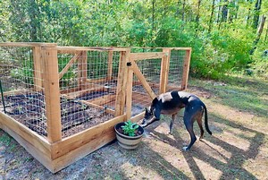 How to Build a Fenced Raised Garden Bed