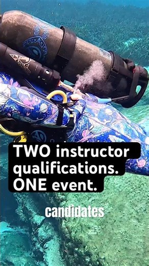 Become an Avelo AND Ocean Reef FFM instructor 5/12-19 in FL Keys 🤿💦 #scubainstructor #divenaui