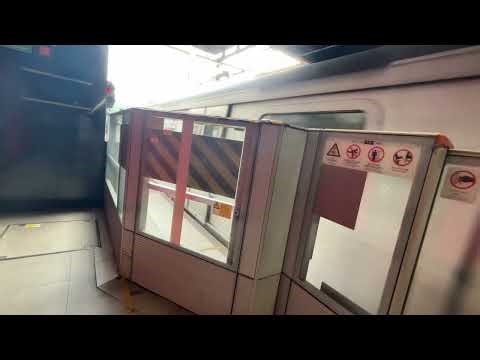 港鐵港島綫M-train A193/A242 駛離杏花邨站1號月台