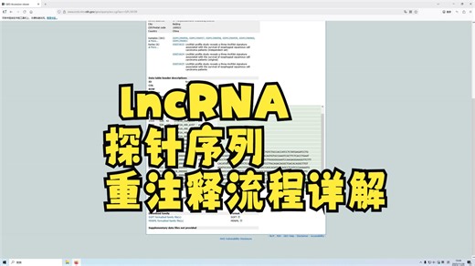生信实战 lncRNA探针序列重注释流程详解