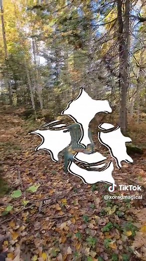 Exploring Schizophrenia: A Forest Walk Simulation
