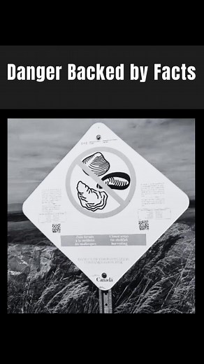 This is one of the most controversial and educational topics I’ve ever covered — the truth about belugas, Marineland, and the so-called ‘sanctuary’ that could harm them. #controversial #contraversy #Educational #EducationalPurposesOnly #marineland #beluga #novascotia #sanctuary | Feed The Belugas Canada