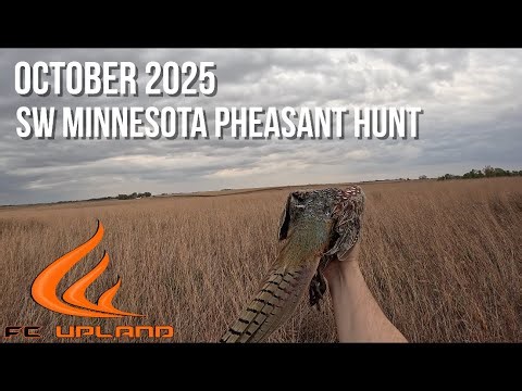 Southwest Minnesota Pheasant Opener — Day 3 on the Prairie