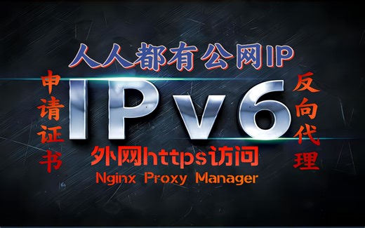 人人都有公网ip Nginx Proxy Manager 保姆级家宽ipv6外网https访问 添加证书