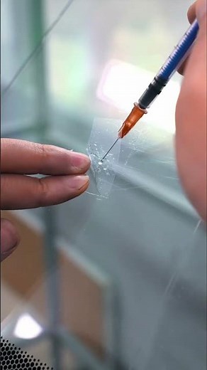 Car Windshield Repair