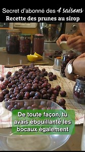 31K views · 184 reactions | Prunes déshydratées, compote de prunes... comment transformer les prunes récoltées au jardin ? Voici la recette des prunes au sirop de David Latassa, abonné fidèle à notre magazine les 4 Saisons. | Terre Vivante | Facebook