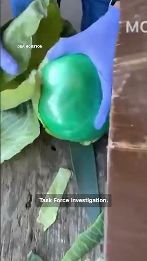 Over 2,000 pounds of meth found hidden in shipment of cabbage, DEA says