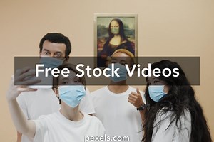 Mona Lisa Videos, Download The BEST Free 4k Stock Video Footage & Mona Lisa HD Video Clips