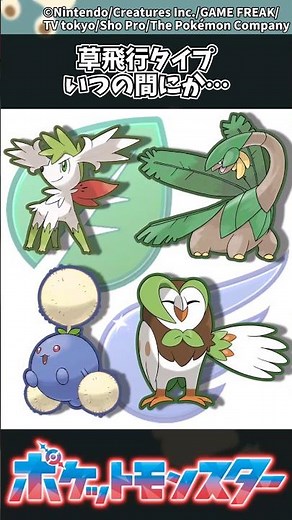 [Pokemon] Grass-flying type, before you know it... #Pokemon #Reactions