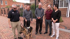 76K views · 179 shares | Cesar and Andre watch blind veteran Donald take his first walk ever with a guide dog. #DogNation | National Geographic Animals | Facebook