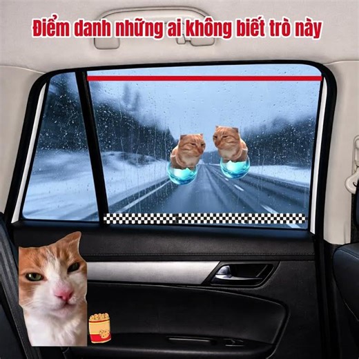 Trò chơi không phải ai cũng biết #meme #pet #cat