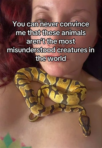 Understanding the Misunderstood Animals