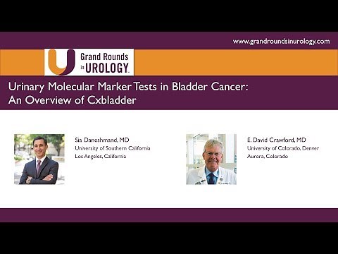 Urinary Molecular Marker Tests in Bladder Cancer: An Overview of Cxbladder