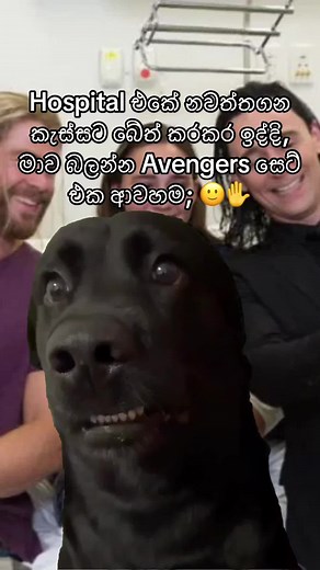 Avengers Meme Sinhala Hi Thor Funny Video