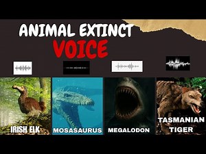 What Extinct Animals Sounded Like (Real Audio)