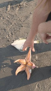 136K views · 323 reactions | Patrick gotta stop riding those hooks... #Fishing #Funny | Coastal WorldWide | Facebook