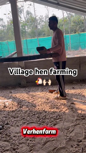 Village farming lo chinna maarpu 🌾 ‪@Rajeshhenfarm‬