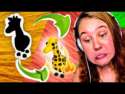 GUESS THE PET AND KEEP IT CHALLENGE vs HATER!!! Roblox Adopt Me