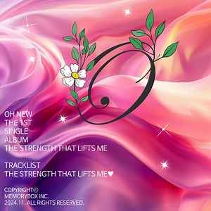 Memorybox Concert & Tour History  | Concert Archives