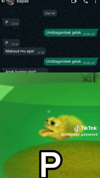 Collection of Absurd and Humorous Memes