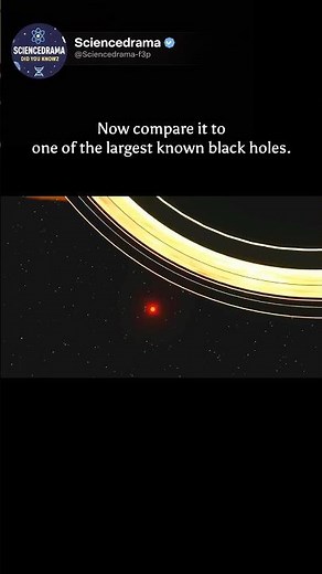 The Sun vs The Biggest Monsters In The Universe!