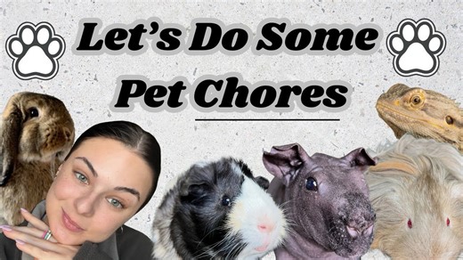 Do Some Pet Chores With Me – A Day in the Life of a Pet Owner