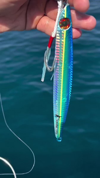 ‏Captain Abdullah embarked on a daring journey to the deep waters of the Sea of Oman, determined to hunt down the ocean’s fiercest monsters. Armed with nothing but skill, experience, and the ultimate weapon — the Samurai Wahoo Jig. ‏As the sun began to rise, casting a golden glow on the endless horizon, Abdullah knew today was the day. He cast the Samurai Wahoo Jig into the depths, and with every pull, the jig sliced through the water with precision, mimicking the perfect prey. 🌀 ‏It wasn’t lon