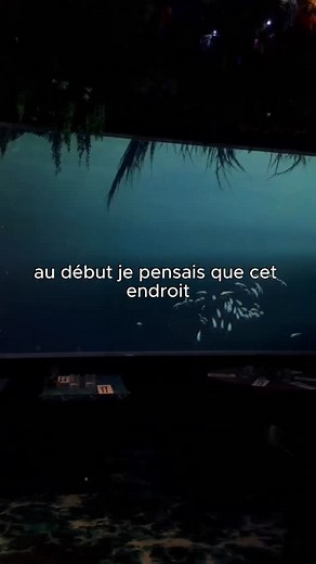 Un restaurant dans l’océan à Paris ? 🤩💙 #food #paris #restaurantimmersif #immersion #restoparis | Ephemeragroup