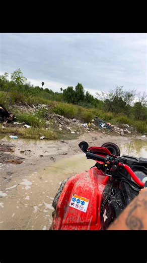 Daniel Miranda on Reels