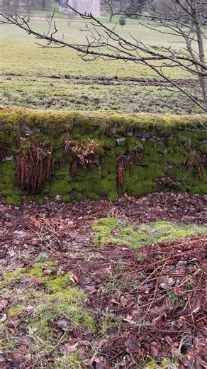 Castle Fraser View From the Haha 🥰🏰🏴󠁧󠁢󠁳󠁣󠁴󠁿 | Europe attractions