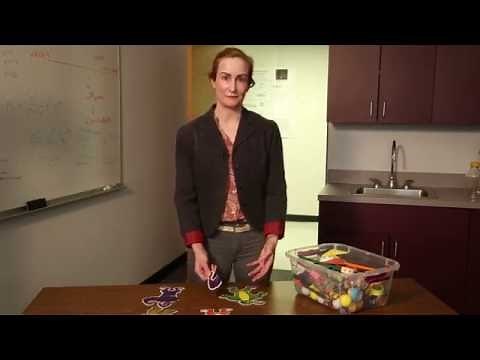 Building Stronger Brain Cell Connections | Science: Out of the Box