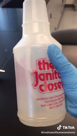 PHENOXYETHANOL!! It’s a wetting agent that helps to prevent decay, as well as keep the tissues hydrated. #mortician #anatomy #science #education