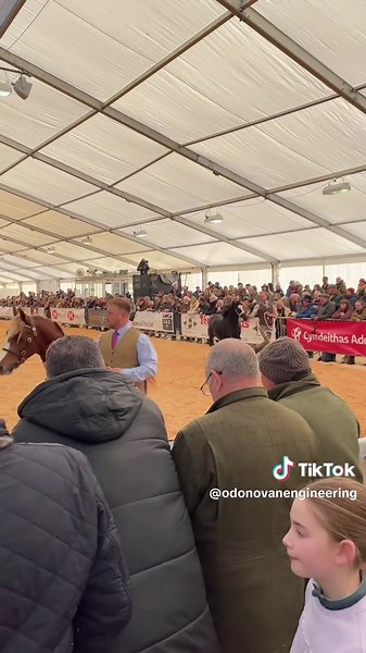 Day 2 at the Royal Welsh Winter Fair Thanks so much to everyone who stopped by to chat with us today! We’ve had great conversations, and it’s been fantastic connecting with so many people. #royalwelshshow #ukfarmers #farminguk #farminglife