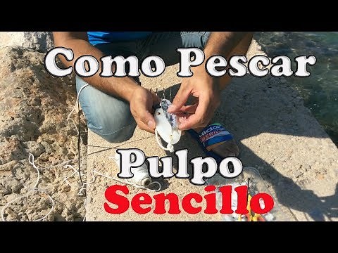 How to Catch Octopus: Tackle, Bait, and Technique. Simple