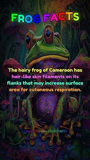 The hairy frog of Cameroon has hair-like skin... | Frog Facts