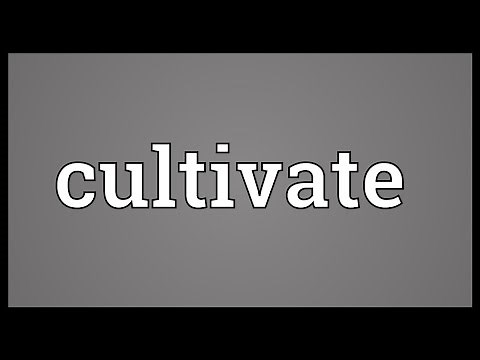 Cultivate Meaning