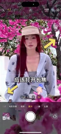 Capture Spring's Majestic Tall Flower Trees - Quick Guide