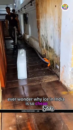 Highly Matured Memes | Ever wondered why ice is so cheap in India? 💭💧 From low production costs to simple distribution methods, the answer lies in efficiency,... | Instagram