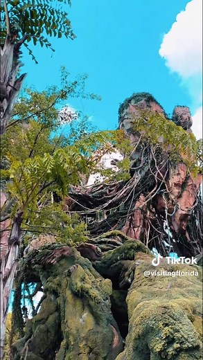 Pandora – The World of Avatar at Disney's Animal Kingdom in Florida is widely considered one of the most immersive, hyper-detailed themed lands ever constructed. Walk around is a relaxing experience, and the Flight of Passage ride is amazing. #tiktokgogetawayfun #AnimalKingdom #Florida #Avatar #fun