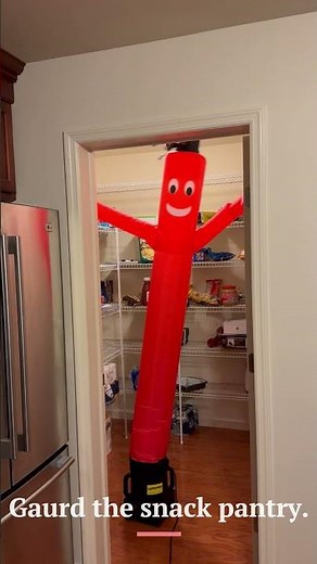 Wacky Waving Inflatable Arm Flailing Tube Man