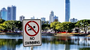 Divers search for stonefish on Gold Coast