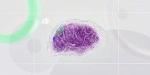 Pregnancy Hormones May Induce Permanent Changes in the Brain | Neuroscience