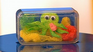 1.4K views · 22 reactions | Make a home for your very own sea creatures with this mini fish tank!  | Mister Maker | Facebook