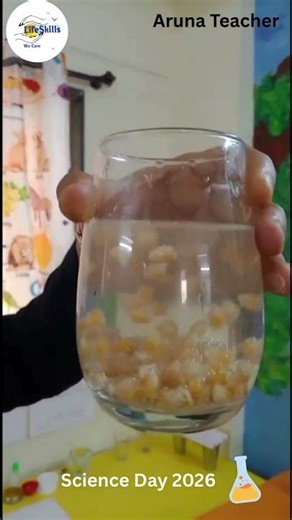Science Day -Dancing popcorn due to carbon dioxide bubbles & Water fountain ⛲ due to air pressure.