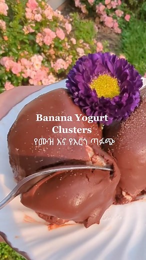 Delicious Banana Yogurt Clusters Recipe