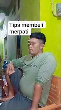 tips for buying pigeons according to your budget or ability #pigeons